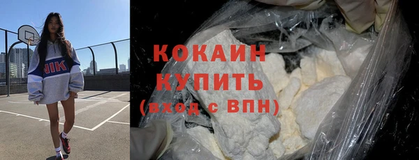 дживик Касимов