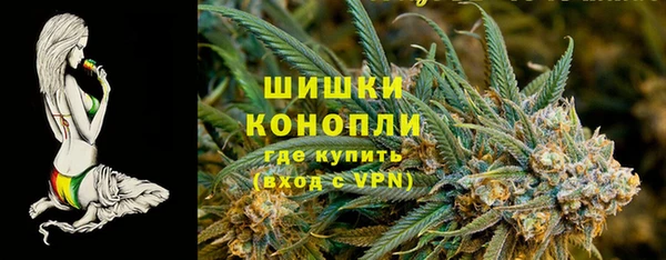 дживик Касимов