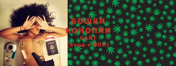 дживик Касимов