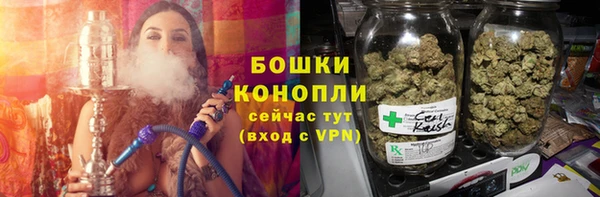 дживик Касимов